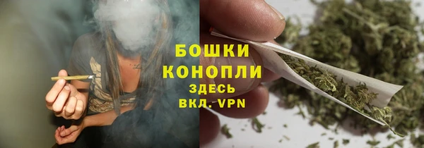 дживик Елизово