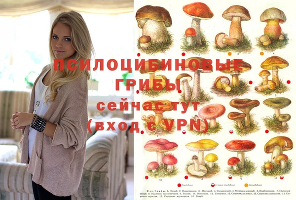 дживик Елизово