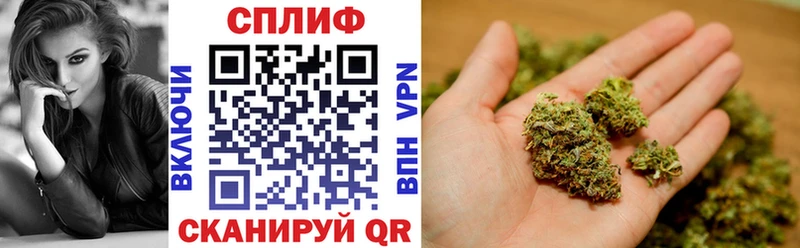 Купить  Рыбное  Каннабис Bruce Banner 